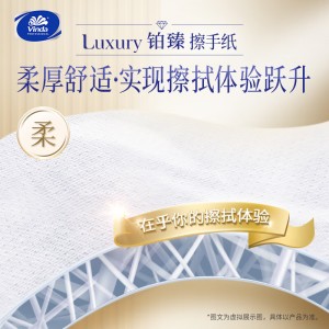 维达（Vinda）擦手纸2层130抽*20包XL码加大 铂臻双层 酒店卫生间