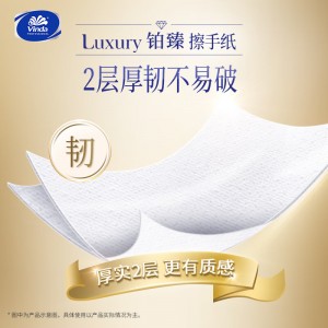 维达（Vinda）擦手纸2层130抽*20包XL码加大 铂臻双层 酒店卫生间